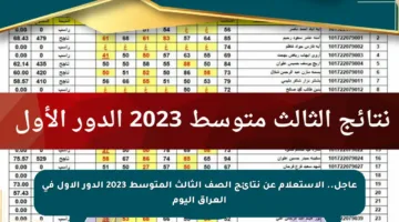 عاجل.. الاستعلام عن نتائج الصف الثالث المتوسط 2023 الدور الأول في العراق اليوم